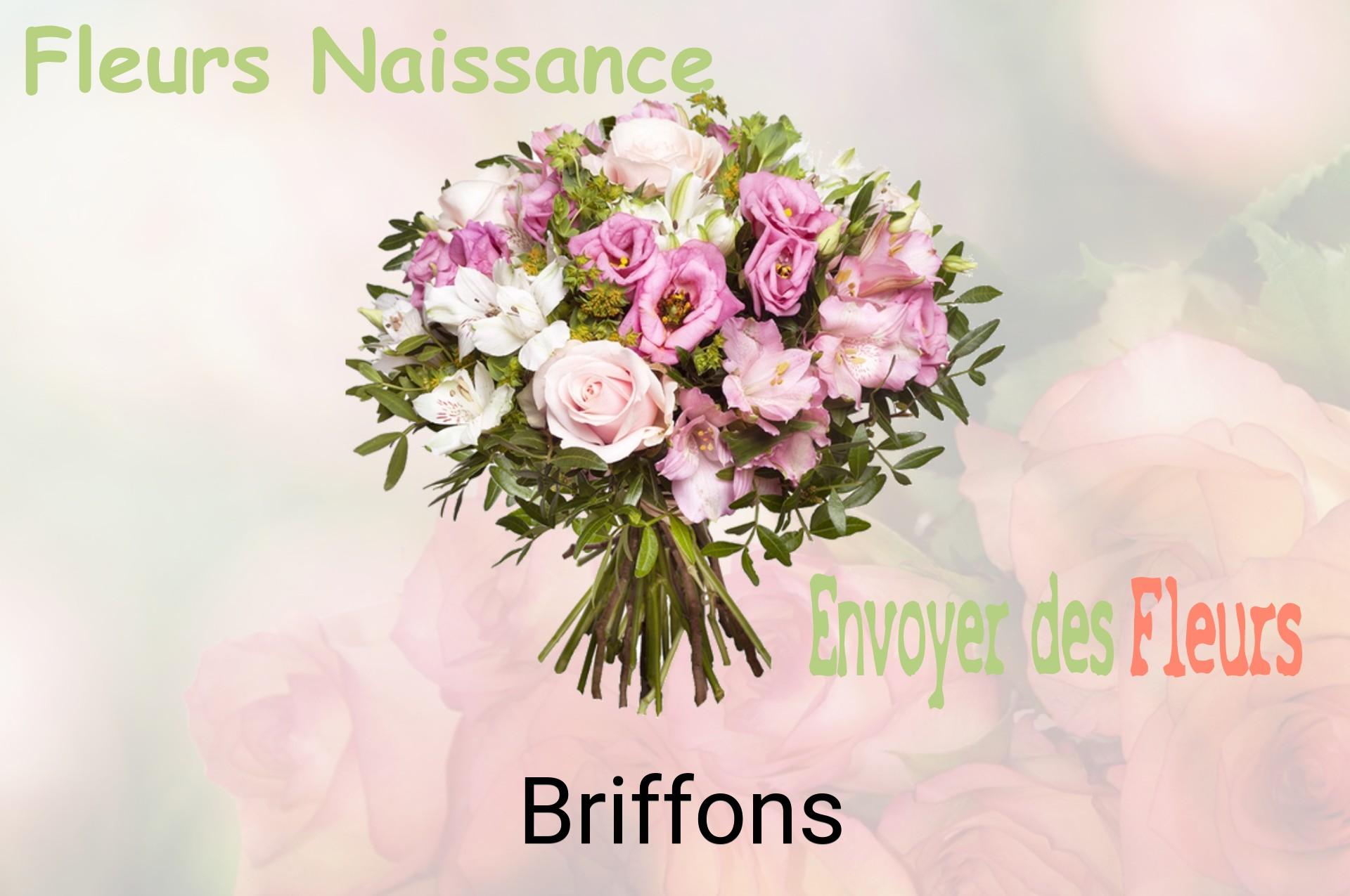 Bouquet de fleurs de naissance livré à Briffons